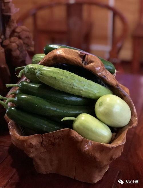 网红吃瓜记录最新,盘点那些年我们追过的热点事件