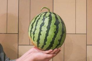 吃瓜网1,娱乐圈最新热点事件深度剖析