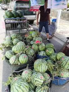 徽县吃瓜网红事件视频,视频揭秘网络舆论风波